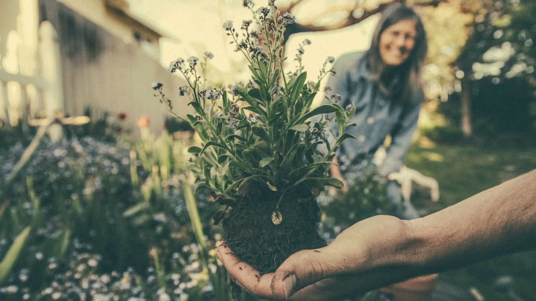 Gardening for Mental Health