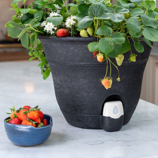 self watering planter set Set of 2 Firmastone 15" Self-Watering Smart Planters – Bernini Fountains