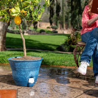 self watering planter set Set of 2 Firmastone 15" Self-Watering Smart Planters – Bernini Fountains