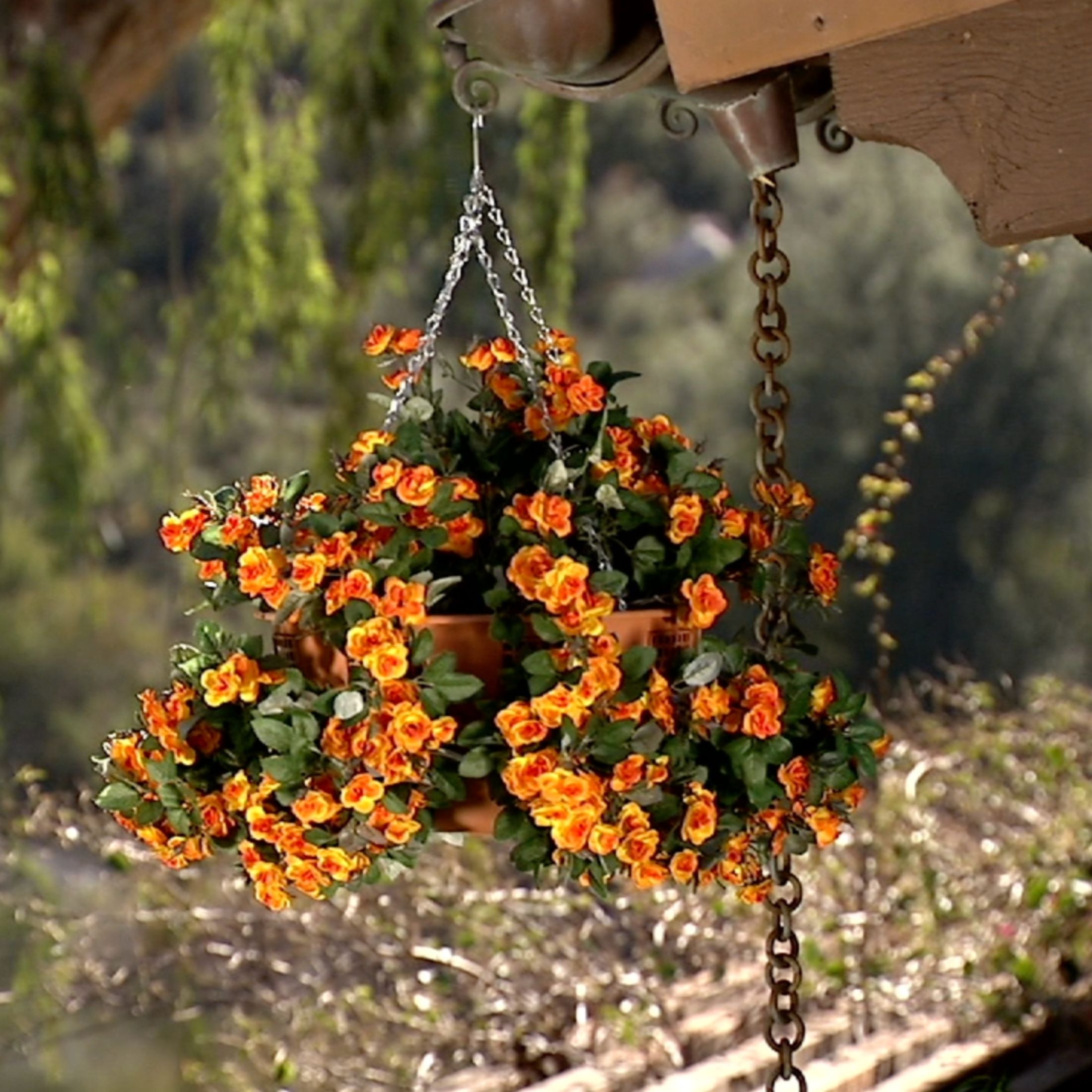 phoenix hanging planter 360° Hanging Planter – Bernini Fountains