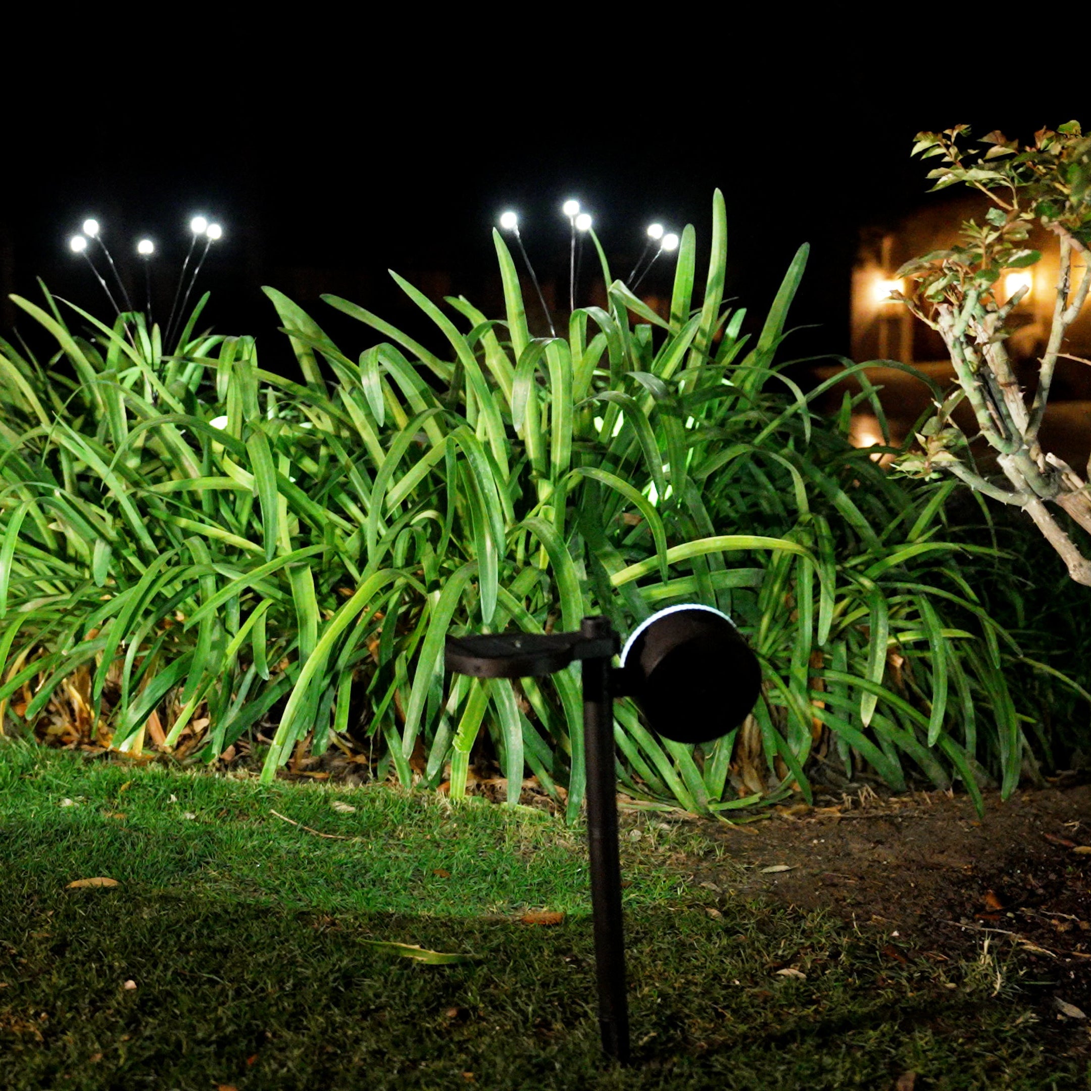 KentaCOLE Firefly Aviso 5’10” Luma Light Firefly Attachments (4 Pack) – Bernini Fountains