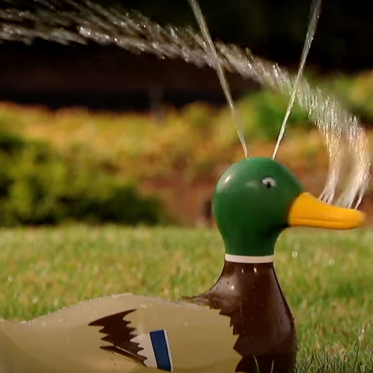 Duck Decoy Garden Critter Sprinkler