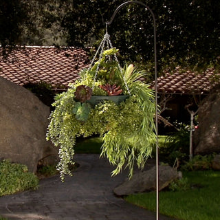 360° Hanging Planter