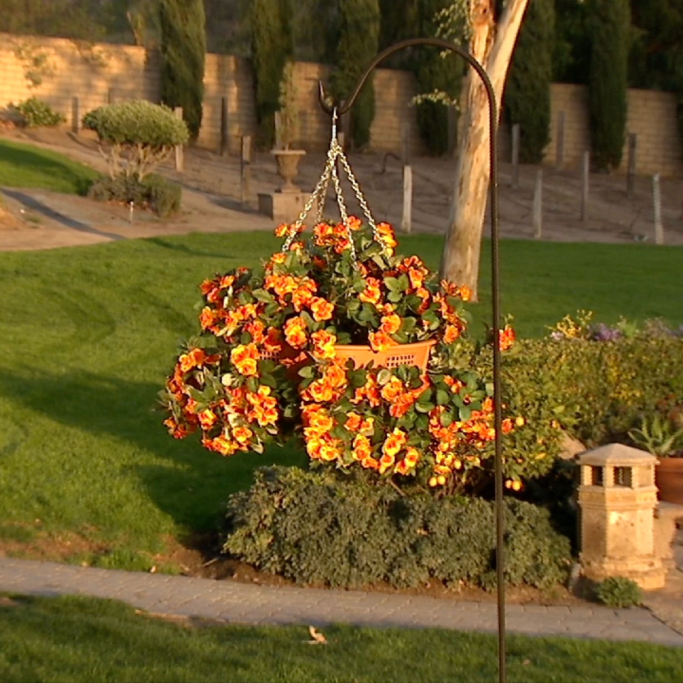 hanging fountain planter 360° Hanging Planter – Bernini Fountains