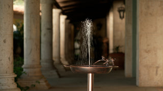Padru Solar Fountain and Birdbath