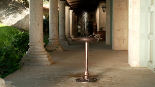 Padru Solar Fountain and Birdbath