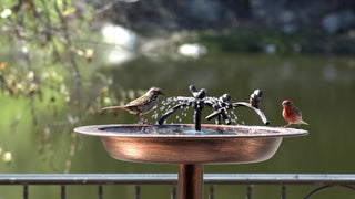 Padru Solar Fountain and Birdbath