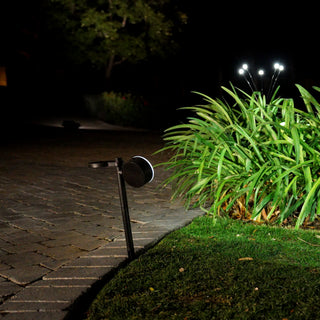 Solar Luma Lights (4 pack)