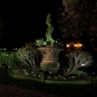 Solar Luma Lights (4 pack)