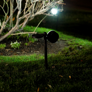 Solar Luma Lights (4 pack)