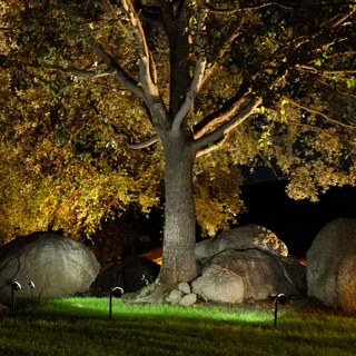 Solar Luma Lights (4 pack)