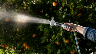 Clear Flo Filtered Expanding Metal Garden Hose®
