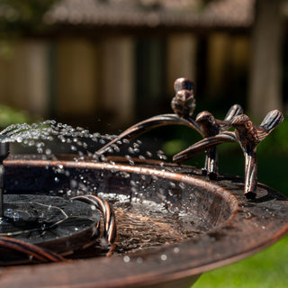 Bronze bird bath with water feature and birds on a blurred garden background