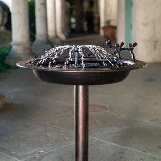 Decorative outdoor water fountain with a classical building in the background