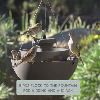 Maria 3-in-1 Bird Feeder, Planter, and Fountain