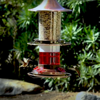 2-in-1 Hummingbird & Bird Seed Feeder