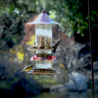 2-in-1 Hummingbird & Bird Seed Feeder