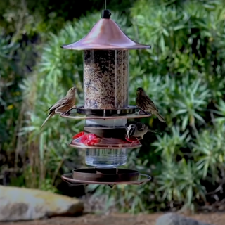 2-in-1 Hummingbird & Bird Seed Feeder