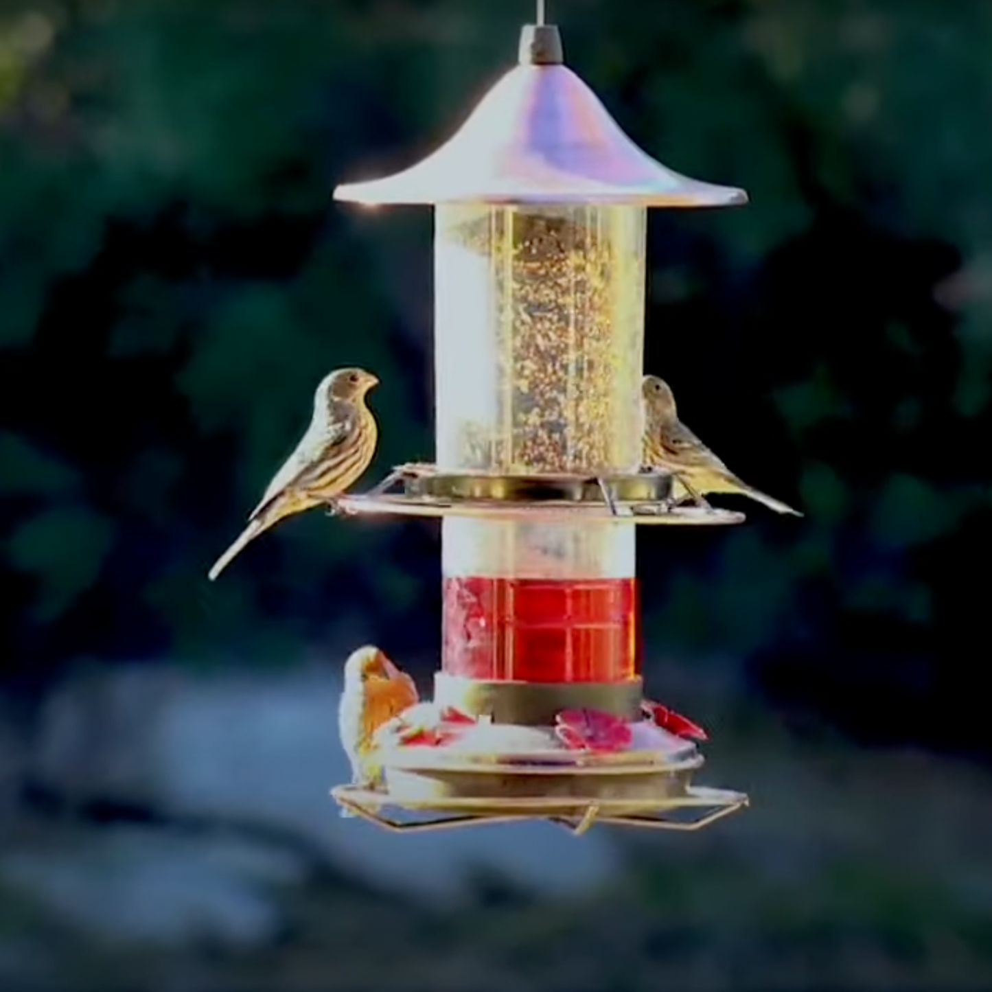 2-in-1 Hummingbird & Bird Seed Feeder