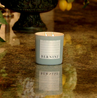 Indoor/Outdoor Plantable Candles