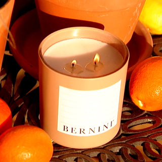 Indoor/Outdoor Plantable Candles