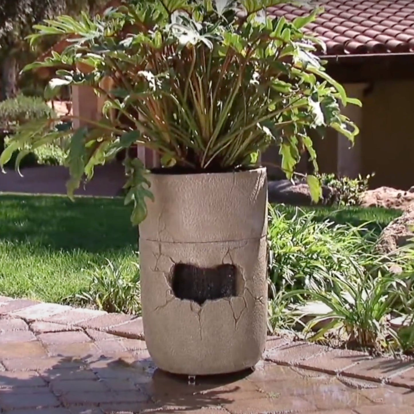 Rain Shower Fountain and Self-Watering Planter