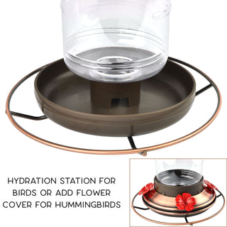 2-in-1 Hummingbird & Bird Seed Feeder