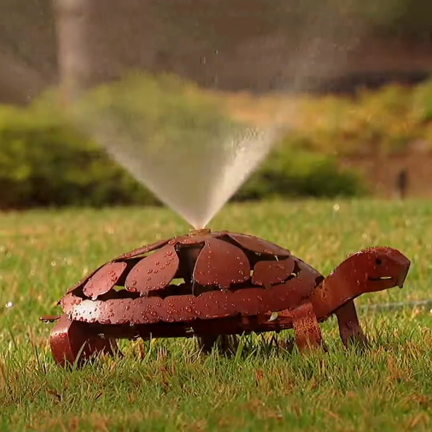 Rustic Turtle Sprinkler